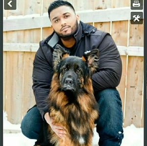 Meet your Posher, Jessie